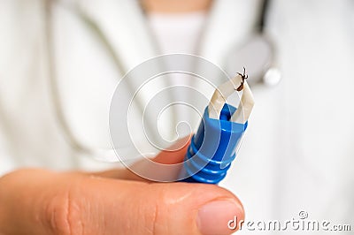 Female doctor is holding tweezers with a tick Stock Photo