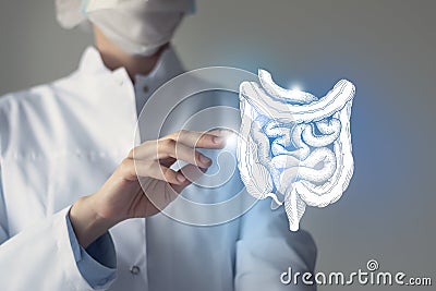 Unrecognizable doctor holding highlighted handrawn Intestine in hands. Medical illustration, template, science mockup Stock Photo