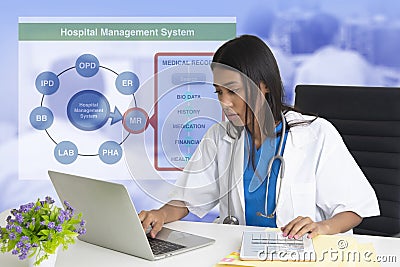 Female doctor working on hospital management system Stock Photo