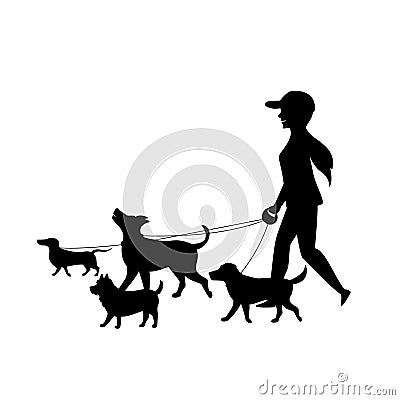 Female dog walker sitter walking with group of pets silhouette vector Vector Illustration