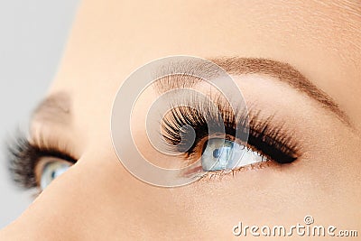 Female eye with extreme long false eyelashes and black liner. Eyelash extensions, make-up, cosmetics, beauty Stock Photo