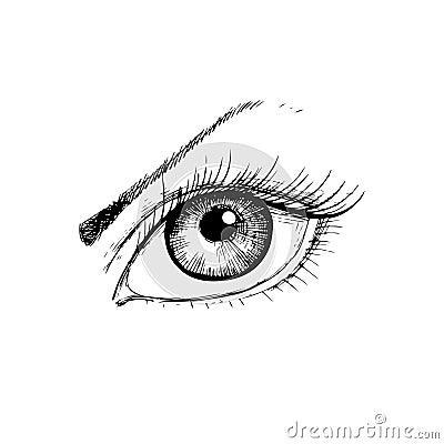 Female eye with hand- drawing style Vector Illustration