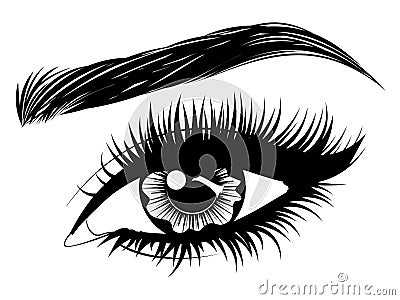 Eye with long eyelashes and brows Vector Illustration