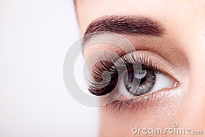 Female eye with long false eyelashes Stock Photo