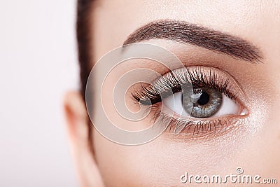 Female eye with long false eyelashes Stock Photo