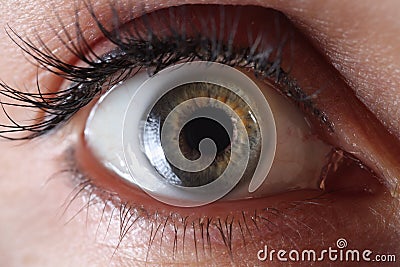 Female eye with permanent eyelid makeup closeup Stock Photo