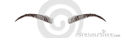 Female eyebrows on white background. Permanent make-up and microblading. Brow bar logo. Linear vector Illustration in Vector Illustration