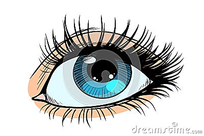 Female eyes with blue pupil Vector Illustration