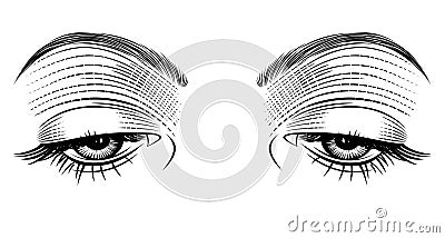 Female eyes looking down. Vintage engraving stylized drawing. Vector Illustration