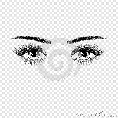 Female eyes silhouette with eyelashes and eyebrows. Vector illustration isolated on transparent background Vector Illustration