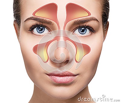 Female face shows nasal sinus with cold over white background. Stock Photo