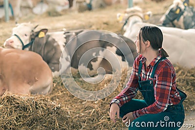 Female farmer on cow dairy farm Stock Photo