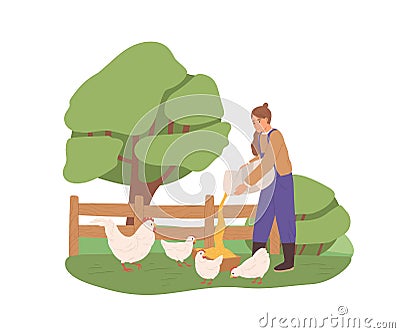 Female farmer feeding chickens, pouring corns, grains and seeds for hens into trough on farm. Woman working in nature Vector Illustration