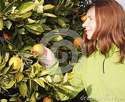 female farmer harvest picking fruits Stock Photo