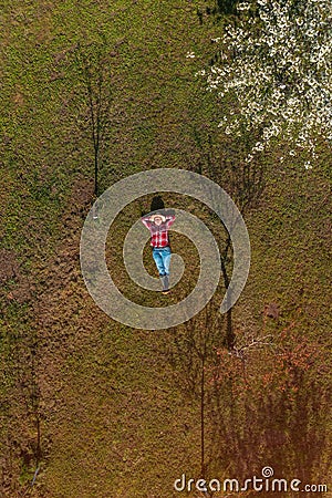 Female farmer laying down in organic cherry orchard, top down drone pov Stock Photo