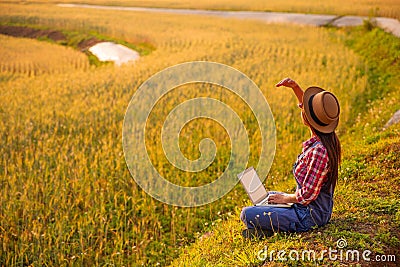 Female farmer using laptop computer in gold wheat crop field Stock Photo