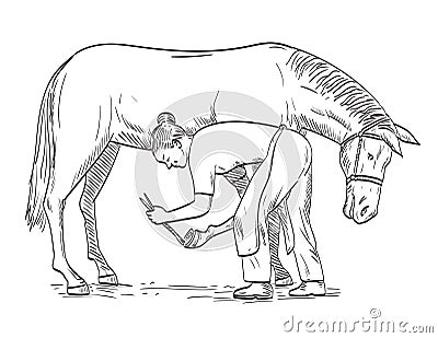 Female Farrier Placing Horseshoe on Horse Hoof Side View Comics Style Drawing Vector Illustration