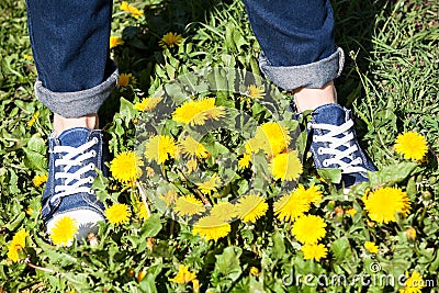 Female feet in blue jeans gumshoes standing on grass with yellow flowers at summer. Close up view Stock Photo