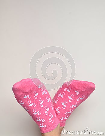 Female feet in socks on a white background. Copy space. Top view Stock Photo