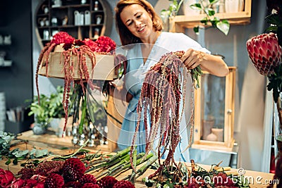 Florist decorates flower bouquet in shop closeup Stock Photo