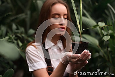 Female florist work with houseplant in pot Stock Photo