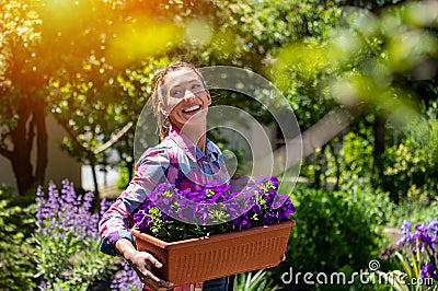 Young woman moving purple petunias in plant pot smiling Stock Photo