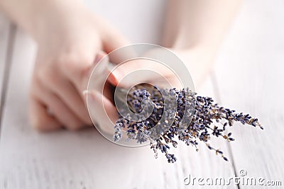 Female give bouquet of lavender in hands Stock Photo