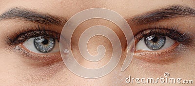 Female gray eyes close-up Stock Photo