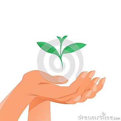 The female hand carefully holds the green sprout of the plant Stock Photo