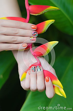 Female hand with color nail art stickers holding Heliconia plant Stock Photo