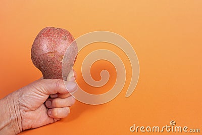 Female hand gripping non-standard ugly fresh raw potato on trendy yellow-orange background with shadow. Copy space Stock Photo