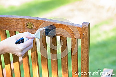 female hand holding a brush applying varnish paint on a wooden garden chair - painting and caring for wood Stock Photo