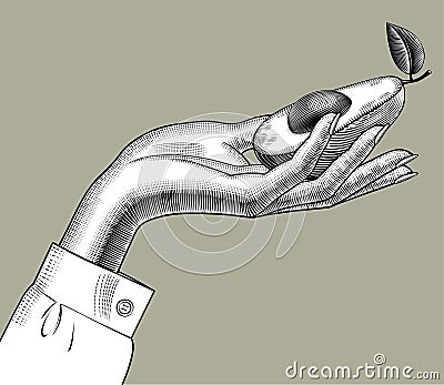 Female hand holding a half cut avocado Vector Illustration