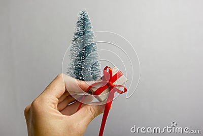 Female hand holding present gift box against grey background. Happy family celebrating concept for Christmas or New Stock Photo