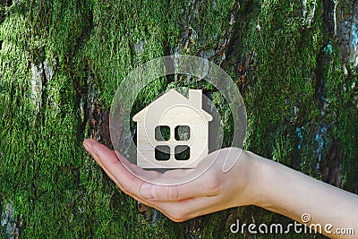 female hand holding small wooden house against old tree bark, safe, sweet and ecological home concept Stock Photo
