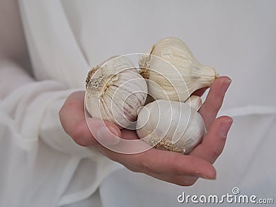 A female hand holding three white garlics Stock Photo
