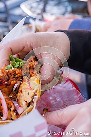 Female hand holding a vegetarian taco above a plastic basket Stock Photo