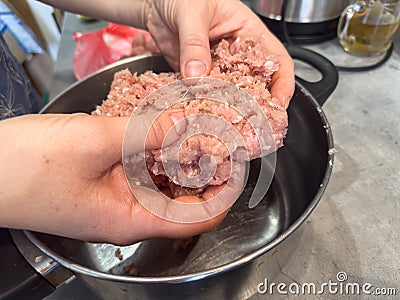 Female hand mixing minced meat in bowl on kitchen, close-up Stock Photo