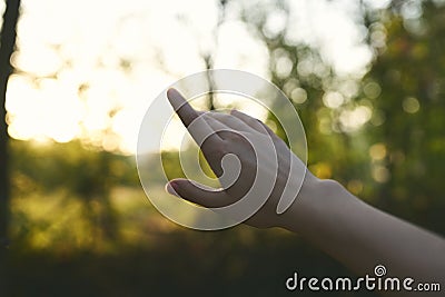 female hand nature to summer romance fresh air Stock Photo