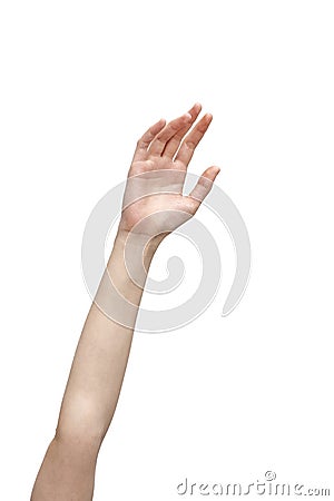 Female hand reaching out on isolated background Stock Photo