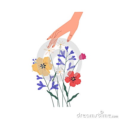 Female hand touching summer bouquet of gorgeous wild or field flowers. Bunch of tender blooming anemones isolated on Vector Illustration