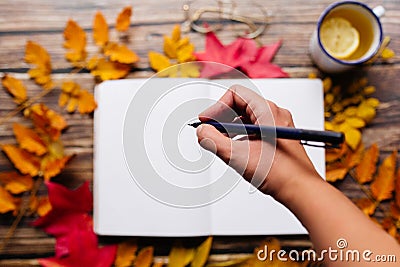 Female hand writing with a pen in a bullet journal. Blank notepad page in a cozy space with enamel cup of lemon ginger tea, Stock Photo