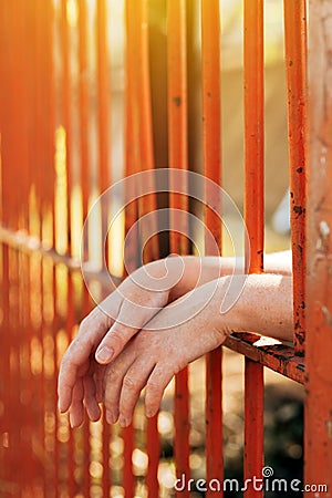 Female hands behind prison yard bars Stock Photo