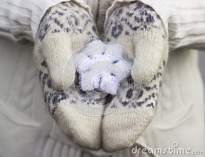 Female hands close up in knitted wore mittens holding white snowflake outdoors. Stock Photo