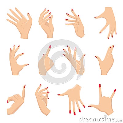 Female hands gestures Vector Illustration