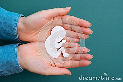 Female hands hold a paper-cut silhouette of a fetus. Green background. Flay lay. Close up. Concept of artificial insemination and Stock Photo