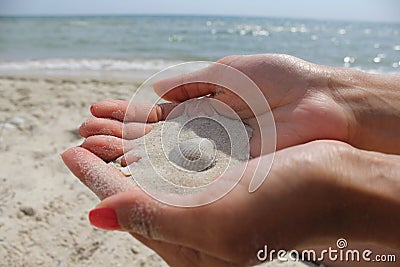 Female hands hold the sand Ð°nd seashell close-up. Stock Photo