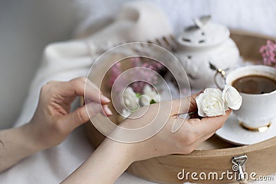 Female hands hold a white flower. Breakfast in bed. Flavored coffee. Delicate light colors. Romance. Card Stock Photo