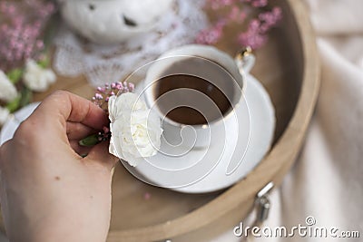 Female hands hold a white flower and pink. Breakfast in bed. Flavored coffee. Delicate light colors. Romance. Place for text. Stock Photo