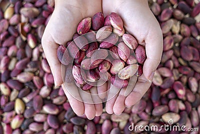 Fresh pistachio Stock Photo